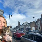Rebecca will be bringing her new cat café business to the High Street soon