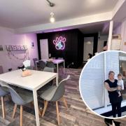 The Halstead Meow Cat Café was opened by Rebecca in July