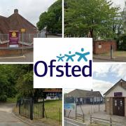 How every school in and around Halstead is rated by Ofsted