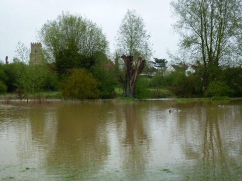 Flooded river walk looking across to St Nicolas Church, Chipping Hill, Witham. Submitted by Eve Sweeting.