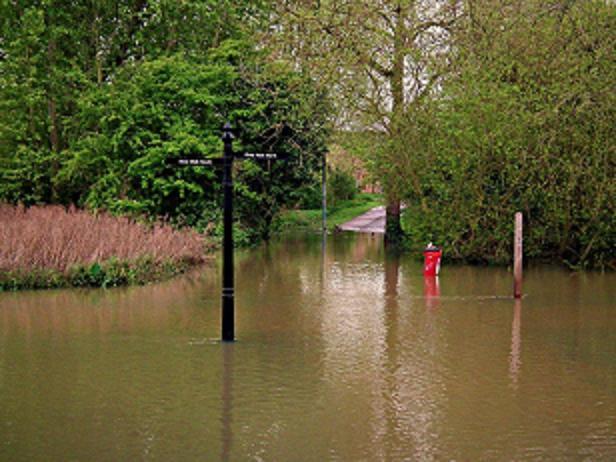 Steve Thomas, who sent in this picture of Witham's River Walk, said: "I can only assume this signpost is for canoeists."