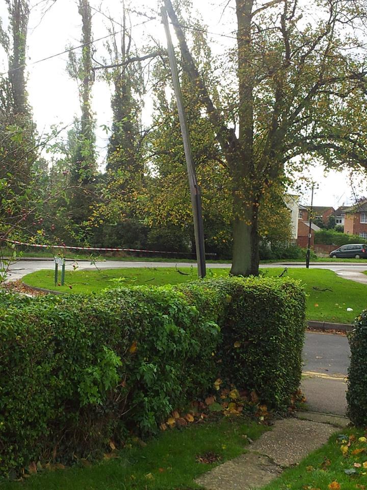 Helen Williams submitted this picture of a snapped telegraph pole in Silver End