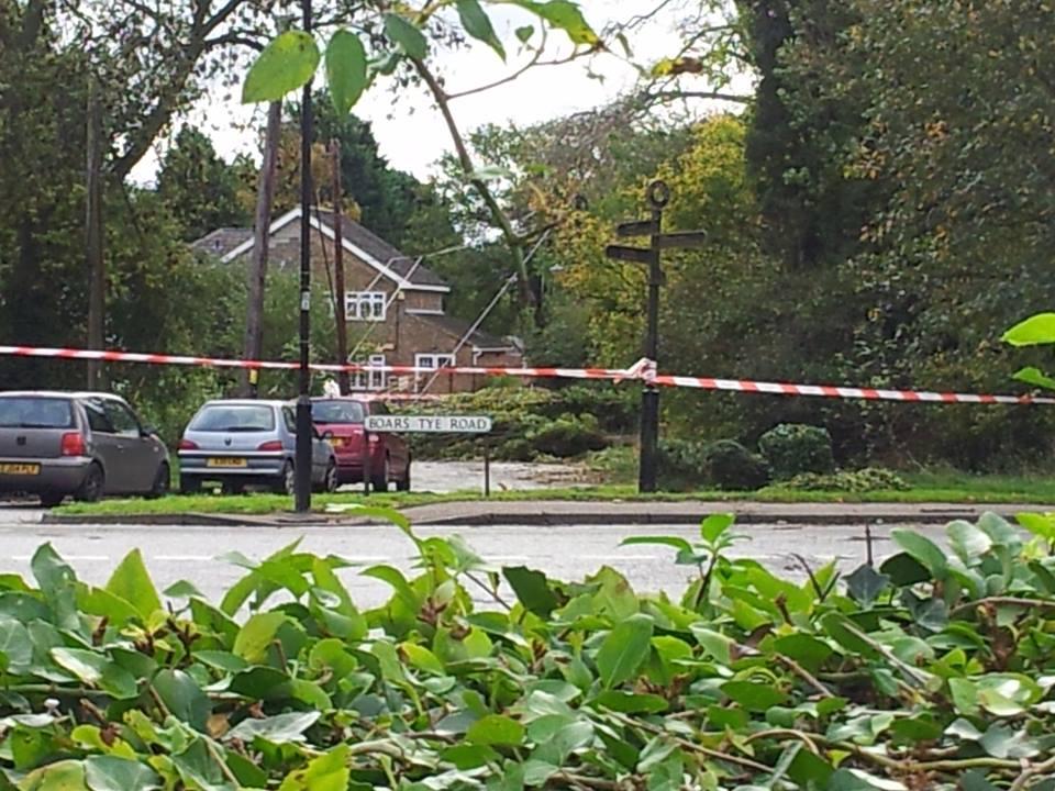 A fallen tree at the junction of Boars Tye Road and Sheepcotes Lane in Silver End. Submitted by Helen Williams.