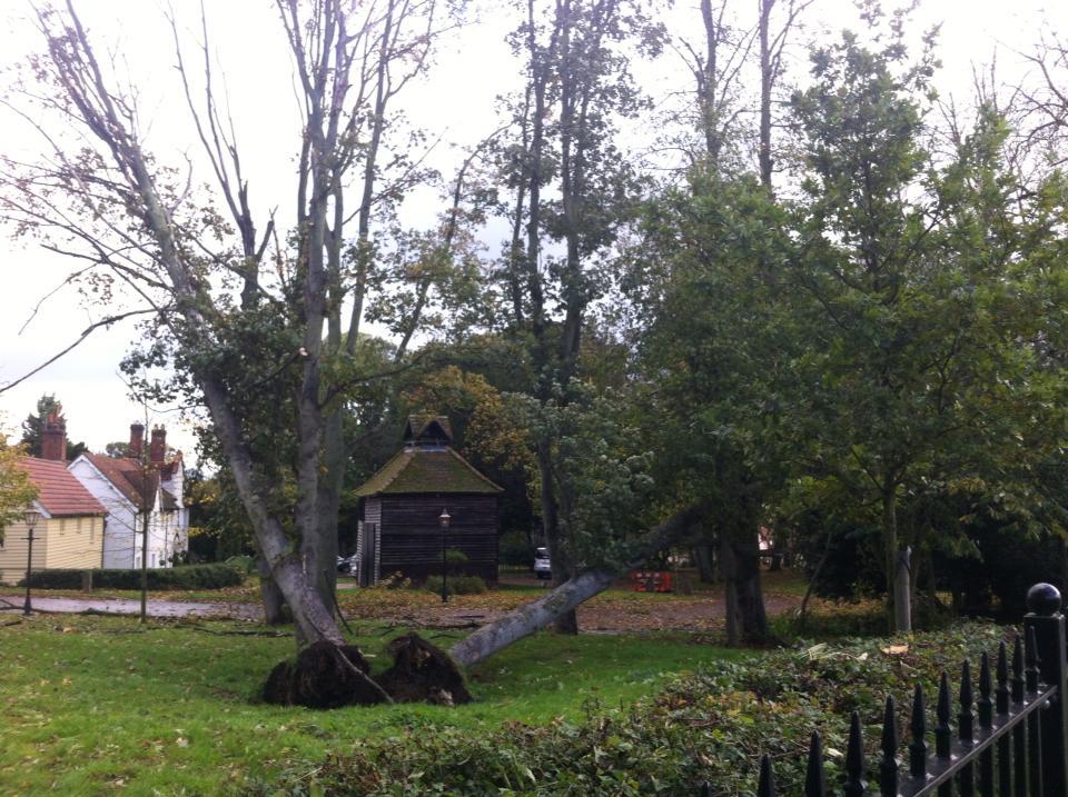 Daniel Turner took this photo of a tree down on Deanery Hill, Bocking.