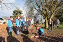 Gosfield Beavers and Cubs lay a wreath at the memorial (Pictures: Tony Sale)