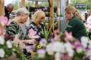 Dobbies is hosting the free session in May