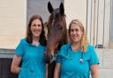 Founders - Carolyn Wyse and Hailey Harvey joined forces to start the new equine vets