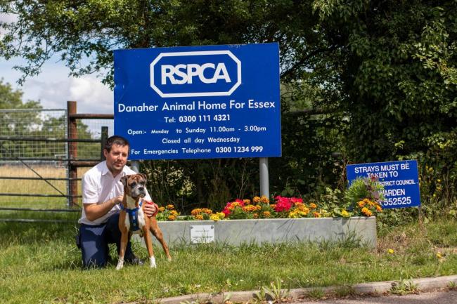 Danaher Animal shelter will be hosting the day in December
