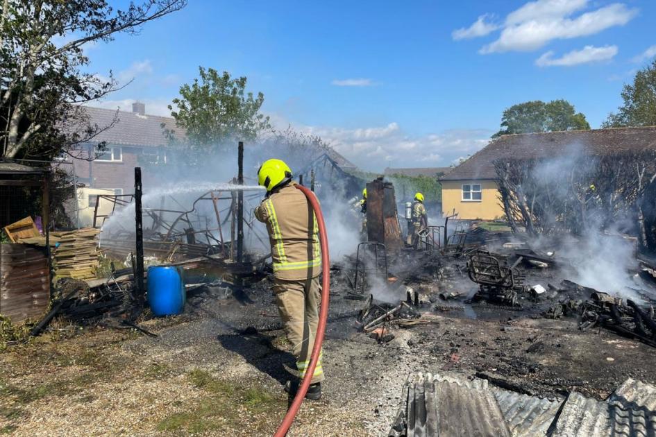 Braintree Notley Road fire sees four dogs rescued 
