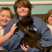 Top Cat - Barnaby was reunited with Joshua, B, and Amalie