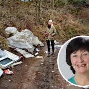 Council Appeal - Braintree Council are looking for the culprits of the fly tip that was discovered by Councillor Jo Beavis (pic: Jo Beavis)