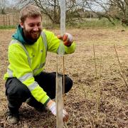 Green Thumbed - staff from Braintree Council’s grounds maintenance Team planting trees at Halstead Riverwalk