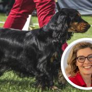 Events Organiser Angie Caldwell is organising the care home Crufts event
