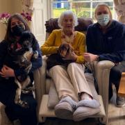 DOG DAYS: Audrey Castle with Leah Beales and Sam Garvey from RSPCA, holding Bear and Lottie