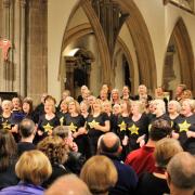 Rock on: The Rock Choir performing at Chelmsford Cathedral for the CHESS concert