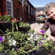 Julia Smith is both Halstead in Bloom and Anglia in Bloom Secretary