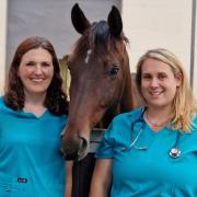 Founders - Carolyn Wyse and Hailey Harvey joined forces to start the new equine vets