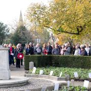 Crowds gather in the public gardens for Remembrance Day (Picture: Tony Sale)