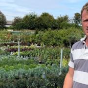 Oliver Wass makes sure Olivers Plants in Earls Colne is doing all it can to help the planet
