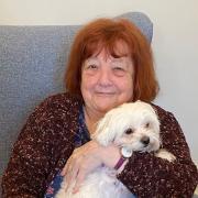 Colne House residents loved spending time with the four-legged visitors