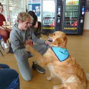 SHAKING HANDS: A visitor at Witham Leisure Centre with Monty