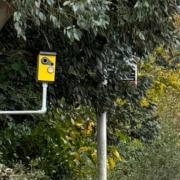 Deterrent - the bird box 'speed camera' put up by Nick