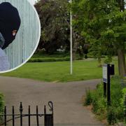 Incident - A Google Street View image of the Halstead Public Gardens and a man wearing a balaclava