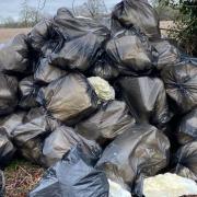 Loads of bin bags were dumped in Halstead