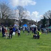 Popular - a previous dog day event in Braintree last year