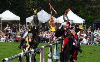 Joust - two knights locked in battle
